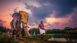 നമുക്ക് പെരുവനം പൂരം കാണാൻ പോയാലോ | PERUVANAM POORAM VLOG PART - 1 | GOKUL DAS PHOTOGRAPHY