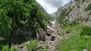 La Verdeata pe Valea Albă din Bucegi
