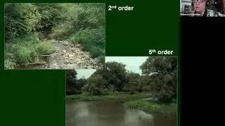 Stream and streamside ecology