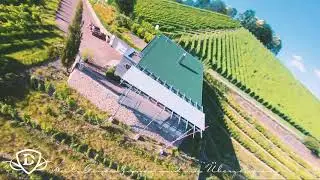 Durbach | Durbacher Winzergenossenschaft eG - Seit Generationen und aus &Uuml;berzeugung | Durbacher Wein