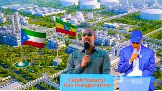 Отчет &laquo;Нефтяной кризис в Огадене и как он произошел&raquo;