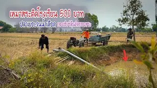 เป็นไปได้ยังไงเหมาสระเล็กติดโรงเรียน 500฿ ปลาเยอะจนน้ำเดือดกำไรล้วนๆ ปลาช่อนปลาหมอเพียบ