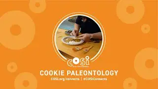 COSI Connects: Cookie Paleontology