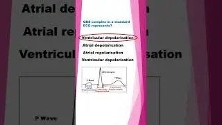 NEET MCQs| Biology MCQs| #knowledgebinge#biologymcqs#neetmcqs#shorts#trending#ytshorts
