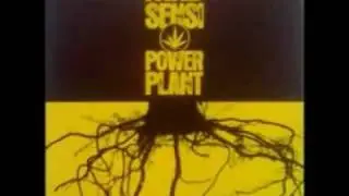 LUCIANO - I WISH - SPIRITUAL RIDDIM MAD SENSI
