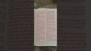 Matthew 6. 24-34. #kjv #bible #reading #china #shorts.