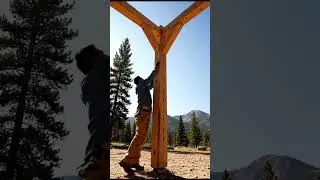 Silent Forest Shelter Build | Cinematic ASMR Wooden Cabin in the Mountains