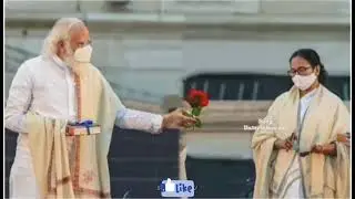 Modi Vs Mamata Rose Day Special Short Video🌹🌹🌹❤❤❤❤