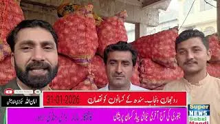 January 31, 2026 Onion Price Today Auction Rate | Pyaz Ka Rate Ajj Pakistan | روجھان & سندھ پیازریٹ