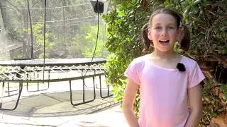 Springfree Trampoline