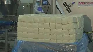 Buffalo Behind the Scenes: Lactalis plant