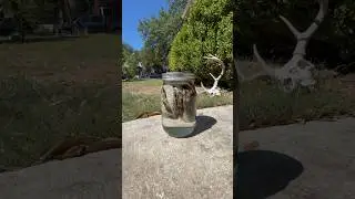 Дубление кожи гремучей змеи: Часть 2: Мездрение