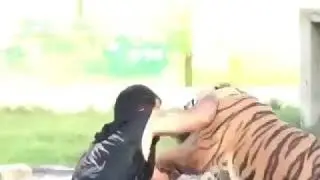 Man Vs Tiger Real Fight (Brave Man)