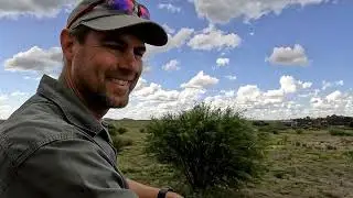 Meercat mischief and lazy lions at the Felidae Centre: Mabuasehube Game Reserve Adventure stopover.