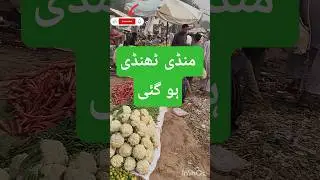 Vegetables Become Cheap | Sabzi Mandi Gojra | 30october 2025 | Punjab Fresh vegetable Prices