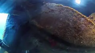Elba - Freediving Wrack Elviscot Pomonte 4k 360&deg;