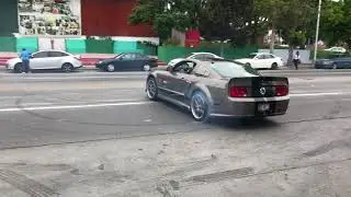 HCM Built Eleanor S197