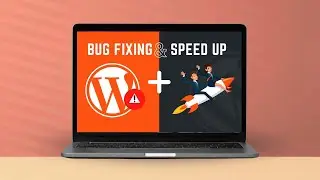 I will fix wordpress bug and wordpress speed optimization in 1 hour