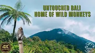 Mt Lesung Rim Walk Hidden Volcano Hike in Bali 4K Nature Escape Part 1