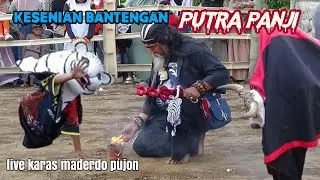Kesenian bantengan Putra panji live karas maderdo pujon