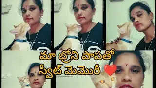 Cat comedy #🤣🤣😄😄#funny video#sweet మెమొరీ #ఓన్ వాయిస్ #siri#youtubeshorts 