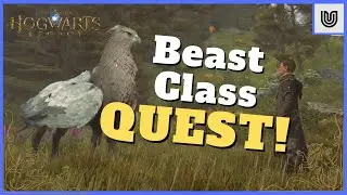Hogwarts Legacy - Beast Class Quest Guide!