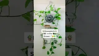 Fun Trend🌟😄🌎 #zerowaste #home #housetour #ecofriendly