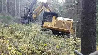 Cat 225 buncher