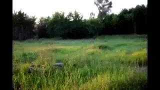 Видео для конкурса Booking Machine Agency #bmticket