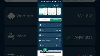 Fish City App Overview