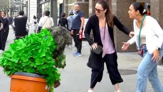 Bushman Prank: Manufactured Chaos 2026!! so so funny