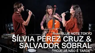 SÍLVIA PÉREZ CRUZ & SALVADOR SOBRAL - HOJE JÁ NÃO É TARDE - BLUE NOTE TOKYO Live 2025