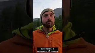 Встретил медведя в лесу #mountains #природа #travel