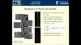 | Building tissue mechanics into novel types of multi-scale models