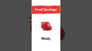 🍓Food Spoilage | #languagebylanguage #english #readingeanglish #vocabulary #englishlearning #shorts