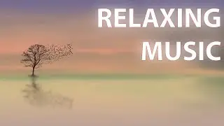 Beautiful Relaxing Music for Stress Relief | Meditation Music | Sleep Music | Sweet Melodies