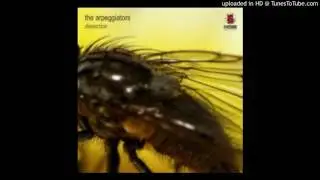 The Arpeggiators - Dissection