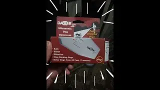 DOG DAZER 3000???!!!!