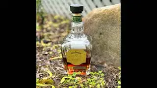 Jack Daniels SBBP Rye