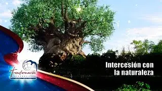 Diseños de intercesión con la naturaleza; Pastor Franky Rodríguez