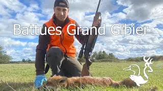 Battues Grand Gibier : De tr&egrave;s belles actions !