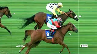 Tipperary Highlights 29th August 2019