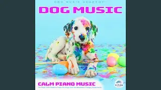 Calming Music for Dogs