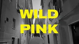 Wild Pink - Sprinter Brain (Official Lyric Video)