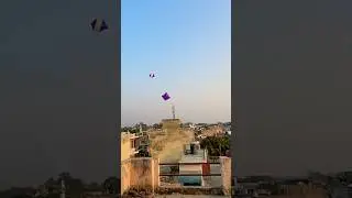 Kite looting from rooftop🪁Big kite catching|Cutting kite caught on roof |Flying big kite #shorts