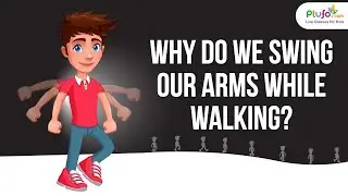 Why Do We Swing Our Arms While Walking | Arms Swing | Educational Videos By Always on Learning