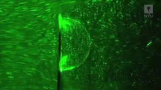 The Science Behind Bubbles