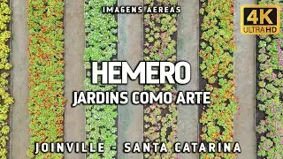 Conheça o Hemero em Joinville: Um Jardim Onde a Natureza se Transforma em Arte | Imagens Aéreas 4K