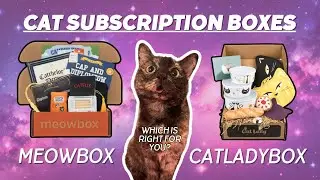 Cat Subscription Boxes: Meowbox vs. CatLadyBox! Which one is right for you?