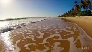 Laid back Tropical Summer Rythym Music &ndash; calming tropical vibes for relaxation and study